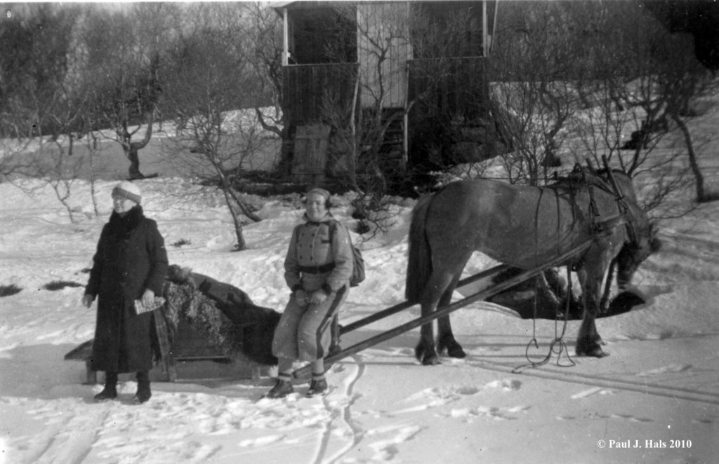 medhestogsledetilskogvannet.jpg